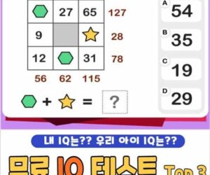 무료 아이큐 테스트 사이트 베스트 4