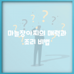 마늘장아찌의 매력과 조리 비법