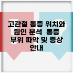 고관절 통증 위치와 원인 분석 | 통증 부위 파악 및 증상 안내