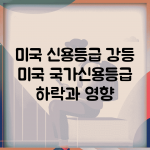 미국 신용등급 강등 | 미국 국가신용등급 하락과 영향