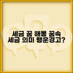 세금 꿈 해몽 정보 | 꿈속 세금의 의미와 해석 안내