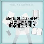 팔란티어 주가 급등 급락 | 팔란티어 주가 변동성 원인