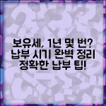 보유세 1년에 몇번 납부 | 보유세 납부 횟수와 시기