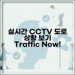 실시간 cctv 도로상황 보기 | 교통 상황 실시간 CCTV 모니터링