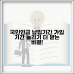 국민연금 납입기간 연장 | 국민연금 가입 기간 늘리기