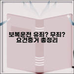 보복운전 성립요건 총정리 | 특정범죄가중법상 판단 기준 및 증거