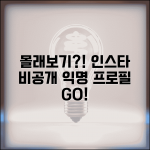 인스타 몰래보기 사이트와 익명 프로필 구경 방법