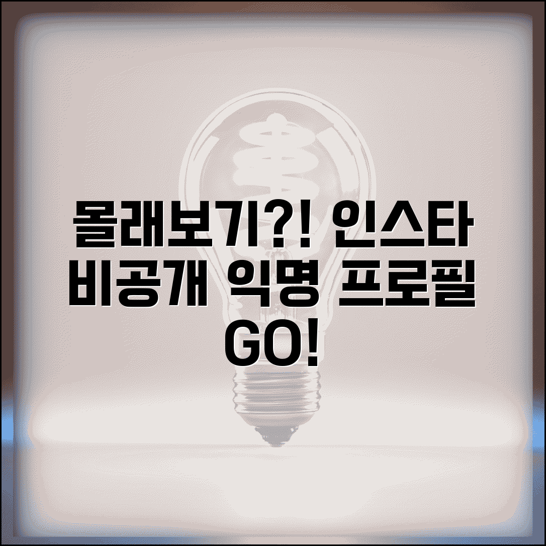 인스타 몰래보기 사이트와 익명 프로필 구경 방법