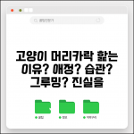 고양이가 사람 머리카락 핥는 이유 | 고양이 핥기, 그루밍, 애정 표현 총정리 고양이가 사람 머리카락 핥는 이유 | 고양이 핥기, 그루밍, 애정 표현 총정리