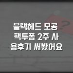 블랙헤드 모공 팩투폼 2주 사용후기 써봤어요 블랙헤드 모공 팩투폼 2주 사용후기 써봤어요