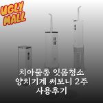 치아물총 잇몸청소 양치기계 써보니 2주 사용후기 치아물총 잇몸청소 양치기계 써보니 2주 사용후기